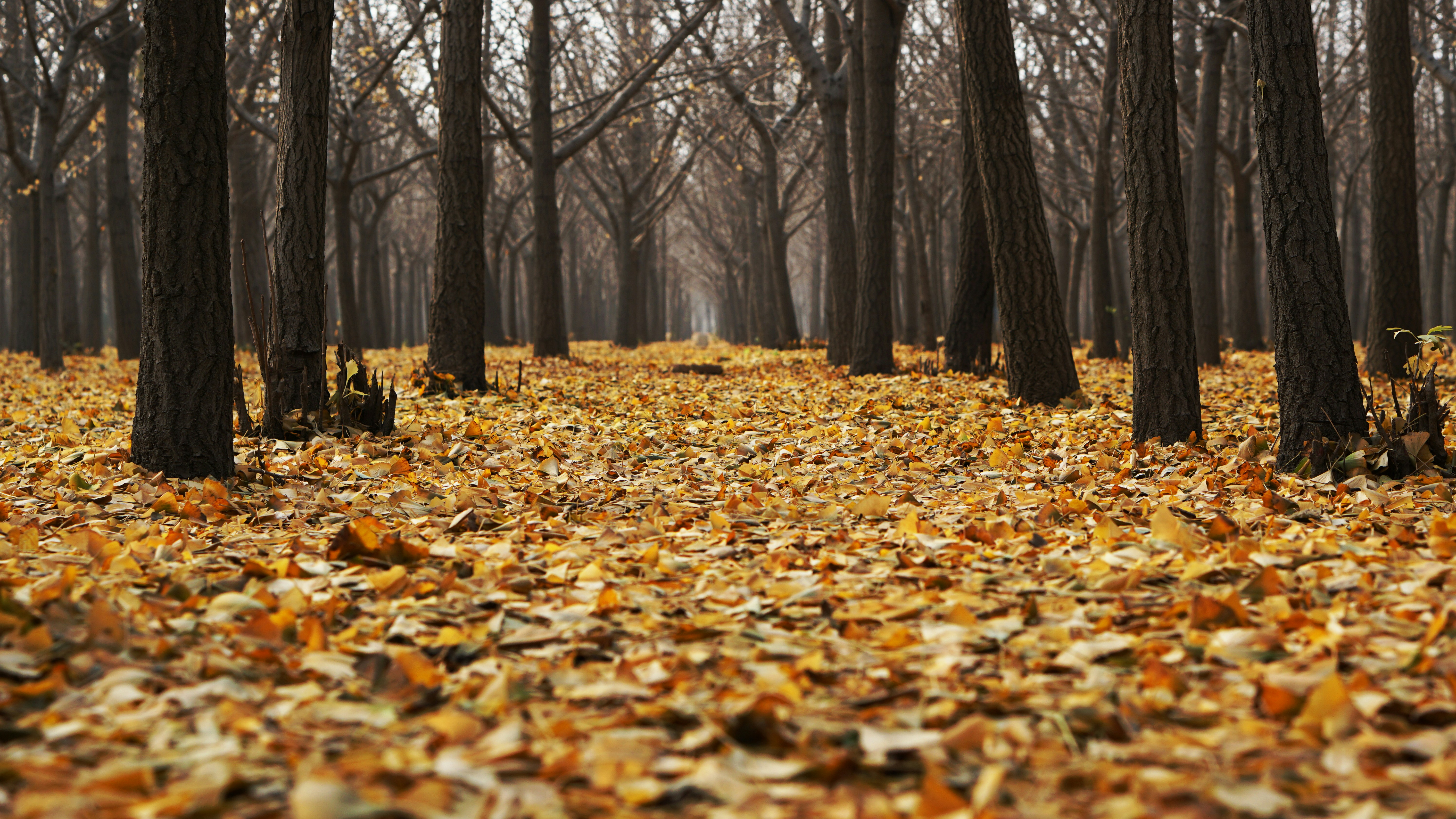 The Path to Zero CVEs: Vanquishing Cyber Threats